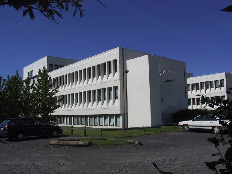 Forstjórapistill: Hringbrautaruppbyggingin, börn í fíknivanda og efling geðheilbrigðisþjónustu