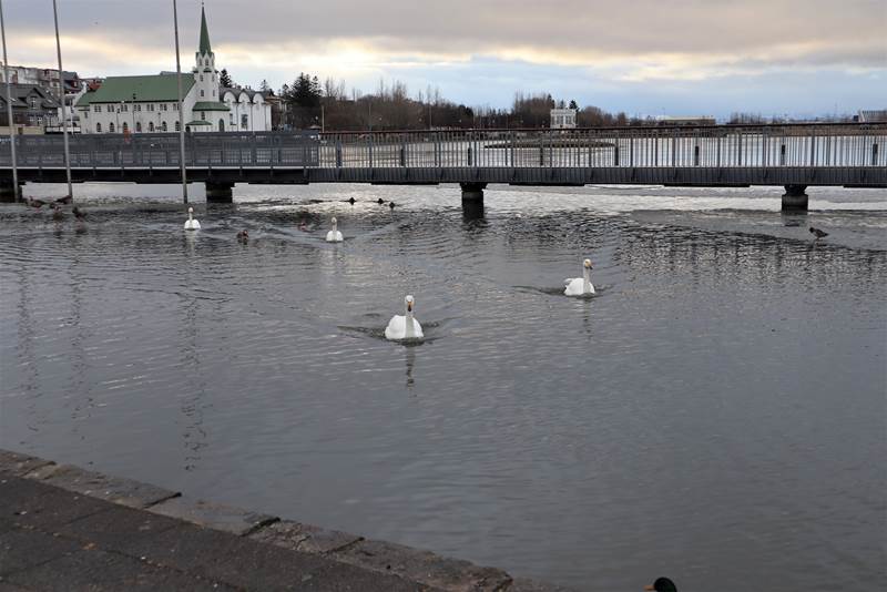 Norræn ráðstefna um áfengi og lýðheilsu í Reykjavík 19. september